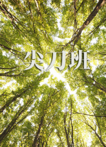 熬夜的职员们
